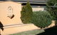 Elderton Guest House - thumb 8
