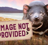 Thalia Haven - Lismore Accommodation