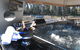 Murray River Houseboats - thumb 6