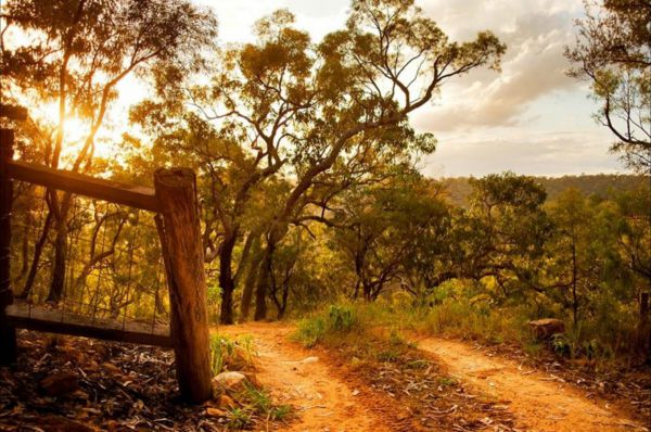 Blaxlands Ridge NSW Lismore Accommodation