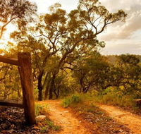 Kurrajong Trails and Cottages - Lismore Accommodation