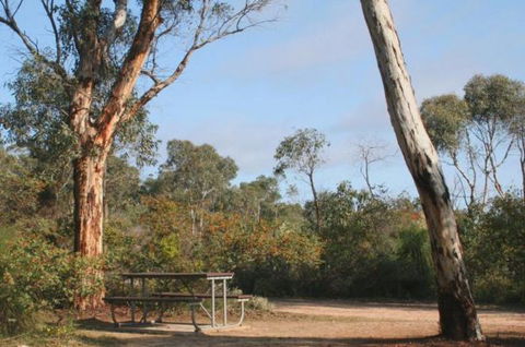 Drummonds Camp At Avon Valley National Park - Lismore Accommodation 0