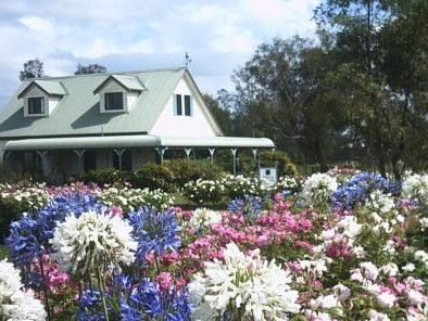 Emmas Cottage Vineyard - Lismore Accommodation 0
