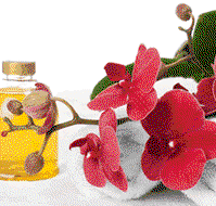 Sunny Hill Retreat Accommodation  Day Spa - Lismore Accommodation