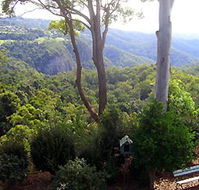 Mt Tamborine Motel - Lismore Accommodation