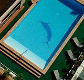 Pacific International Hotel - Lismore Accommodation