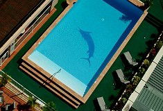 Pacific International Hotel - Lismore Accommodation 0