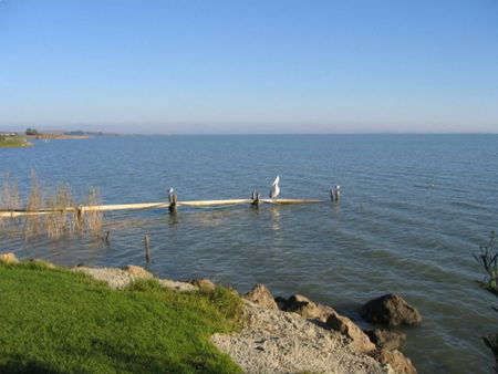 Lake Albert Caravan Park - Lismore Accommodation 5