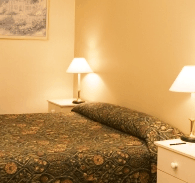 Best Western Abel Tasman Airport Motor Inn - Lismore Accommodation