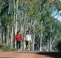 Congelin Camp at Dryandra Woodland - Lismore Accommodation