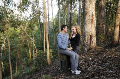Goldsmith's In The Forest - Lismore Accommodation 3