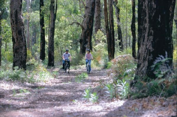 Wellington Forest WA Lismore Accommodation