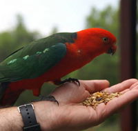 Barrington Tops Escapes - Lismore Accommodation