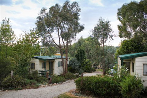 Beechworth Cabins - Lismore Accommodation 0