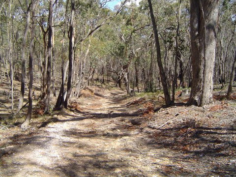 Bushmans Lookout - Lismore Accommodation 3