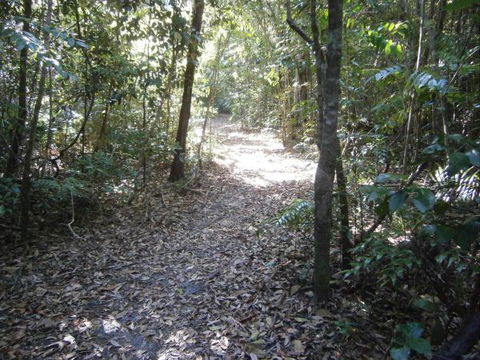 Byfield Cabins On Waterpark Creek - Lismore Accommodation 5