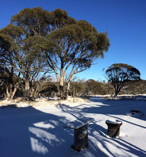 Cloud 9 Alpine Lodge - Lismore Accommodation 9