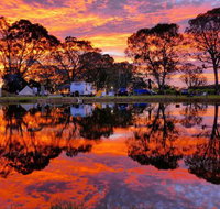 Coonawarra Bush Holiday Park - Lismore Accommodation