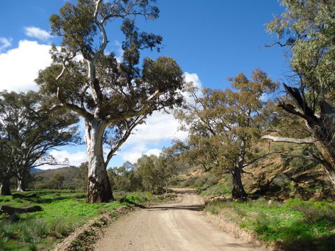 Flinders Bush Retreats - Lismore Accommodation 7