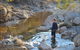 Flinders Bush Retreats - thumb 8