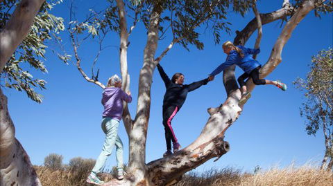Hamilton Downs Youth Camp - Lismore Accommodation 4