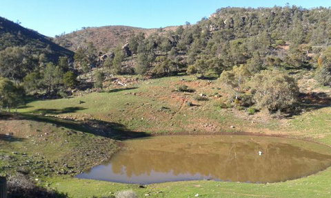 Horseshoe Rim - Wilderness Cabin - Lismore Accommodation 0