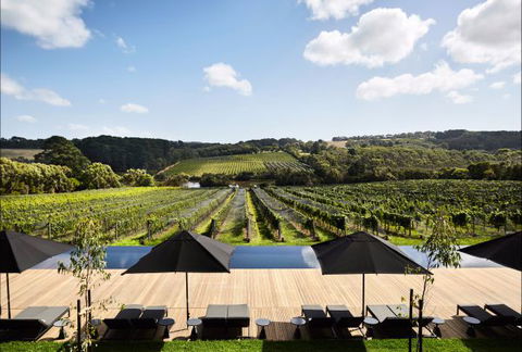 Jackalope Mornington Peninsula - Lismore Accommodation 4