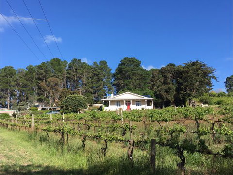 Karawatha Cottages B&B - Lismore Accommodation 1