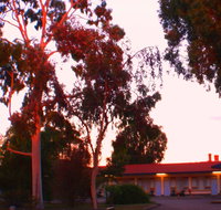 Murray Bridge Central Olympic Motel and Cottages - Lismore Accommodation