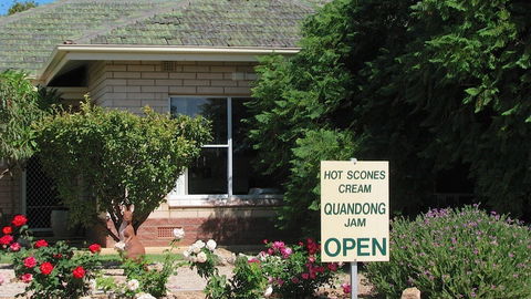 Schultz Farm - Lismore Accommodation 0