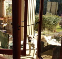 Mara Ponds Branxholm - Lismore Accommodation
