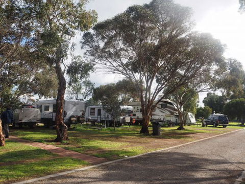 Murray Bridge Marina Camping And Caravan Park - Lismore Accommodation 4