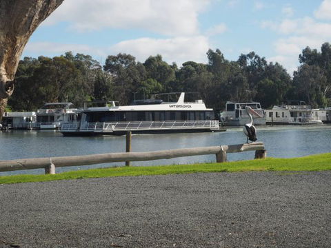 Murray Bridge Marina Camping And Caravan Park - Lismore Accommodation 6