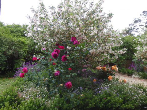 Quartz Cottage - Lismore Accommodation 8