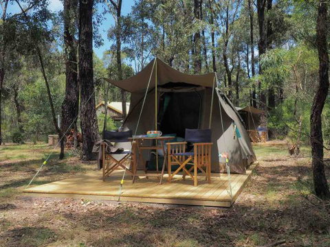 Tall Trees Camping On The Great Ocean Road - Lismore Accommodation 0