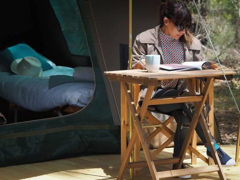 Tall Trees Camping On The Great Ocean Road - Lismore Accommodation 1