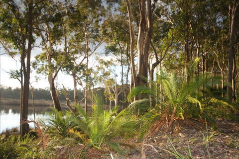 Tanja Lagoon Camp - Lismore Accommodation 7