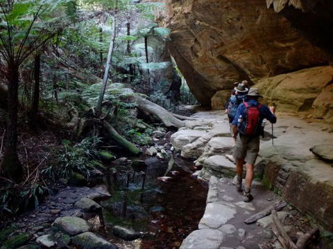 Takarakka Bush Resort Carnarvon Gorge - Lismore Accommodation 6
