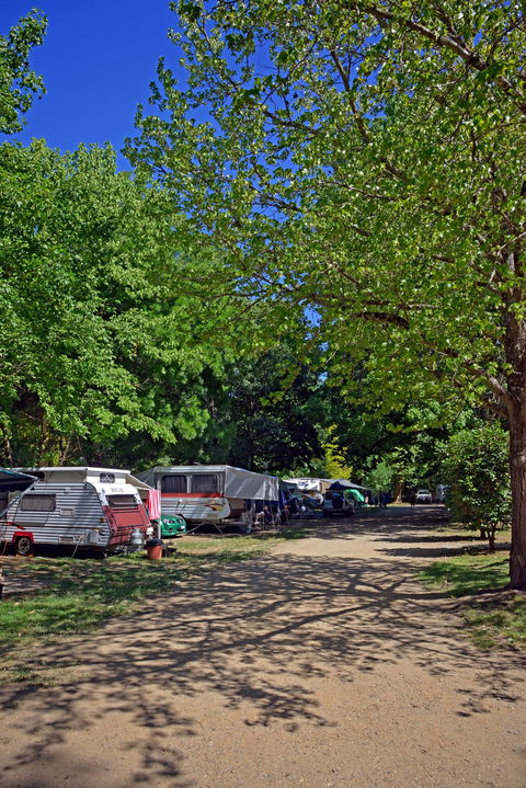 Ardern's Caravan Park Myrtleford - Lismore Accommodation 1