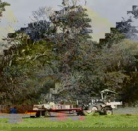 Boronia Farm - Lismore Accommodation