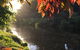 Forth River Cottage - thumb 4