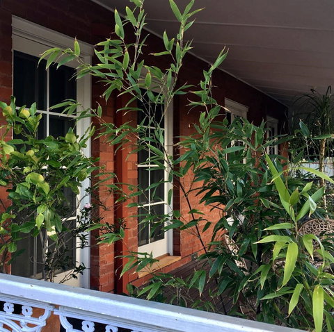 Heathcote Contemporary Art Boutique Accommodation - Lismore Accommodation 6