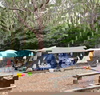 Pebbly Beach campground - Yuraygir National Park - Lismore Accommodation