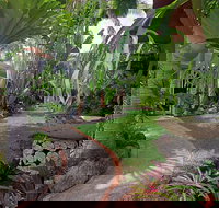 Allure - Beachfront Byron - Lismore Accommodation