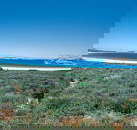 Lucky Bay Campground at Cape Le Grand National Park - Lismore Accommodation