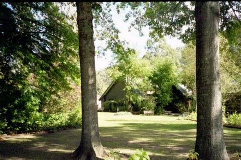 Mountain View Holiday Retreat - Lismore Accommodation 8
