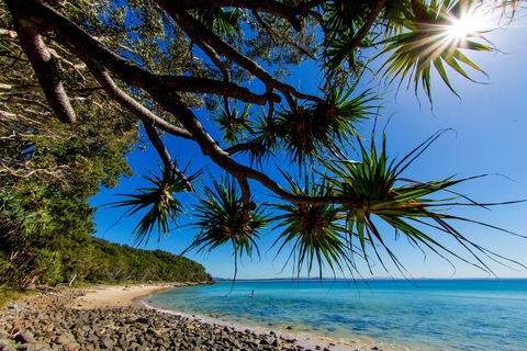 Noosa Caravan Park - Lismore Accommodation 2