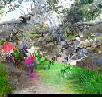 NRMA Echuca Holiday Park - Lismore Accommodation