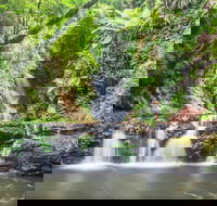 O'Reilly's Rainforest Retreat - Lismore Accommodation