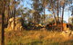 The Woolshed Cabins - thumb 2